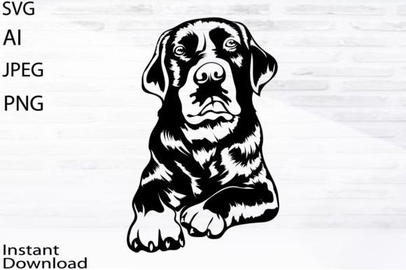 Labrador Dog Svg Png Jpg Ai Vector Pet Graphics Freebies