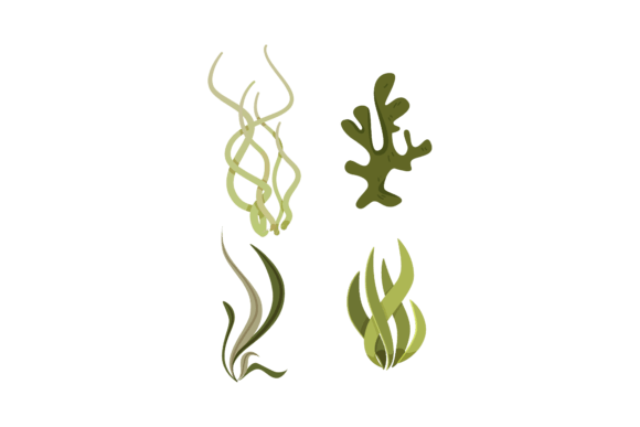 Sea Ocean Graphics Freebies